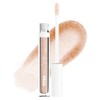 Wet n Wild Mega Slicks Lip Gloss | Long Lasting