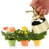 Stainless Steel Hand Pressure Plant Flower Watering Pot Spray Bottle