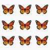 Monarch Butterfly Pack Bumper Sticker Vinyl Decal 5 inches