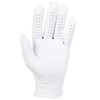 Titleist Perma Soft Men's Regular Left Small Golf Glove