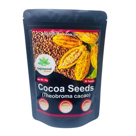 Organic Cocoa Seeds, Cacao Seeds, Theobroma cacao 50 Seeds Pack