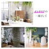 Kugusa Artificial Fake Green Air Plants Wall Hanging Artificial House