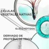 Kérastase Resistance Kit Reparador Cabello Muy Dañado Sobreprocesado Shampoo Bain