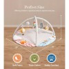 Baby to Toddler Gym Play Mat, Motor Skills Development, Activity