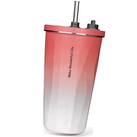 Tumbler with Straw, 600ml Vacuum Insulated, Hot & Cold with Lid, Large Capacity, Drink Cup Holder with Hand