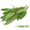 SAGE Oil 100% Natural Pure Undiluted Uncut Essential Oil 15ml