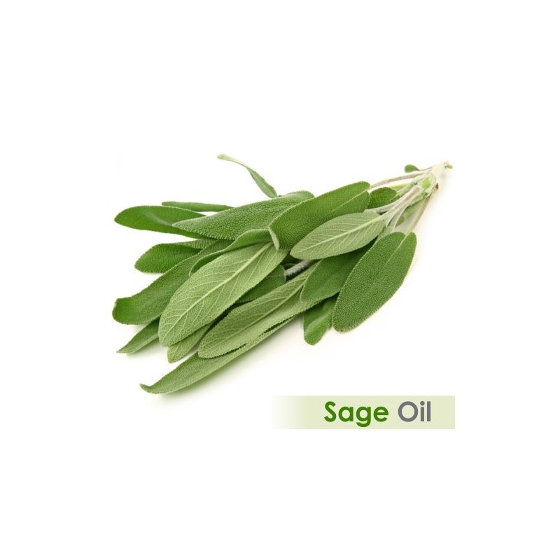 SAGE Oil 100% Natural Pure Undiluted Uncut Essential Oil 15ml
