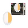 Paulmann 94706 LED Outdoor Light Panel Smart Home Zigbee Lamina