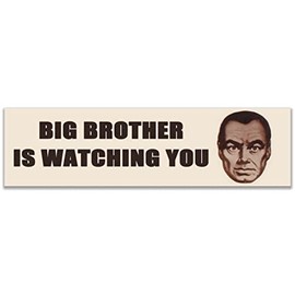 Big Brother is Watching Sticker Decal Notebook Car Laptop 11"x3" (Color)