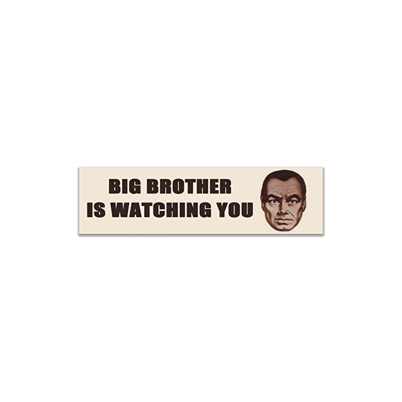 Big Brother is Watching Sticker Decal Notebook Car Laptop 11"x3"