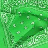 Laciteinterdite Set of 3 Paisley Bandanas for Men and Women,