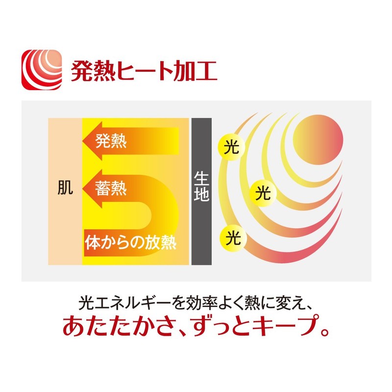 Kanebo Excellence 110-Denier Tights Limited Item (L-LL)