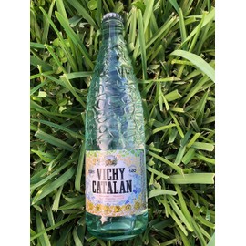 Vichy Catalan Sparkling Natural Mineral Water 16.90 fl oz (500ml) Bottle
