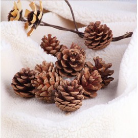24 pieces of natural pine cones, Thanksgiving Christmas tree decorations, autumn and winter home pine cone decorations Christmas tree garland rattan decoration vase filling