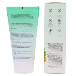 Farmacy Whipped Greens Oil-Free Foaming Cleanser with Moringa and Papaya 5 oz
