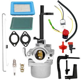 RYTIME 697978 Carburetor Kit fit for Troy Bilt Coleman Powermate 5500 5000 6000 5550 6250 6500 Generator Parts Compatible for Briggs & Stratton 591378 697978 796321 696132 with 491588S Air filter