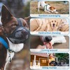 HTRTRR Muzzle for Dogs, Muzzles for Dogs with Mesh, Applicable