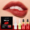 Bb Lip Kit 4 Colores Líquido Y Gel Exfoliante Y