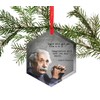 Albert Einstein - Famous Scientists Glass Christmas Ornament