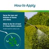 Wilt-Pruf® Concentrate | Protect Against Winter Damage, Drought, and Stress