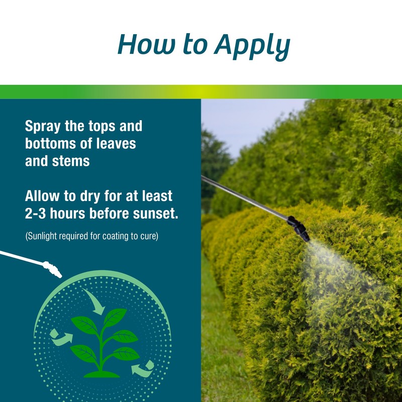 Wilt-Pruf® Concentrate | Protect Against Winter Damage, Drought, and Stress