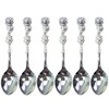 Nagao Rose Coffee Spoon Silver Plated 5 pcs + 1
