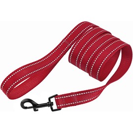 CollarDirect Nylon Dog Leash 5ft for Daily Outdoor Walking Running Training Heavy Duty Reflective Pet Leashes for Large, Medium & Small Dogs (L, Red)