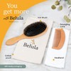Belula Belula 100% Boar Bristle Hair Brush Set. Soft Natural