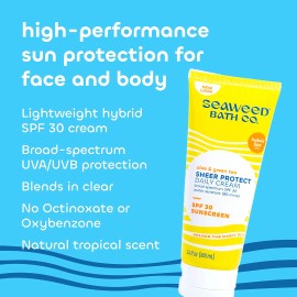 The Seaweed Bath Co Seaweed Bath Co. Sheer Protect Daily SPF 30 Broad Spectrum Hybrid Sunscreen