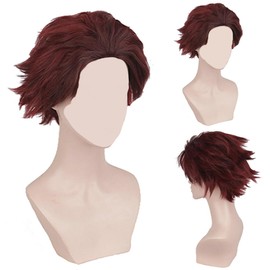SWZY Slayer Cosplay Wig,Japanese Anime Character Role Playing Wig,Anime Coser Chestnut Brown Short Hair Wigs,Fancy Dress Up Accessories Wigs For Daily Wear Cosplay Masquerade