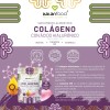 Colágeno Biotina Coenzima Ac Hia | Piel Y Cabello I