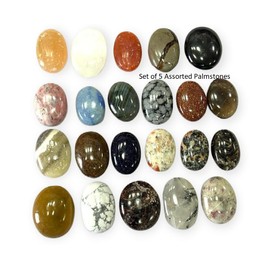 Wholesalegemshop Set of 5 Assorted Palmstone Gemstone Carved Palm Stone/Pocket Palm Stone/Reiki Healing & Crystal Grid for Natural Body Chakra Balancing