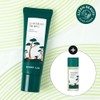 ROUND LAB Pine Calming Cica Cream Plus 60ml Set (+Toner