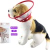 Pet Plastic Clear Cone Recovery E-Collar with Dots Design, Soft