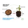 Plant Starter Pellets 36mm x 20 Made With Coco Coir