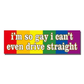 WZCNDIDI I'm So Gay I Can't Even Drive Straight - Flexible Car Auto Bumper Magnet (Rectangular)