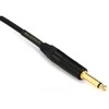Proco Evolution Studio/Stage Instrument Cable - Straight to Straight 10ft