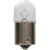 Wagner Lighting BP17311 Standard Multi-Purpose Light Bulb Card of 2
