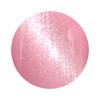 ICE GEL Color Gel ABLACK Star Galaxy Gel 1272 0.1