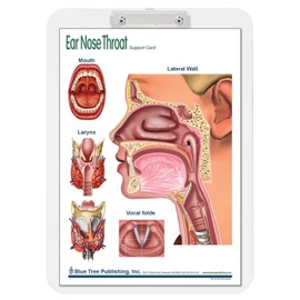 Ear Nose and Throat Insert Clipboard