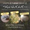 オーガランド (ogaland) 花鼻快楽 (30粒 / 約1ヶ月分) 酢酸菌 花粉 サプリ 甜茶