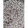 Unbranded 50 SEMILLAS DE PIPIAN CRIOLLO SALVADOREÑO