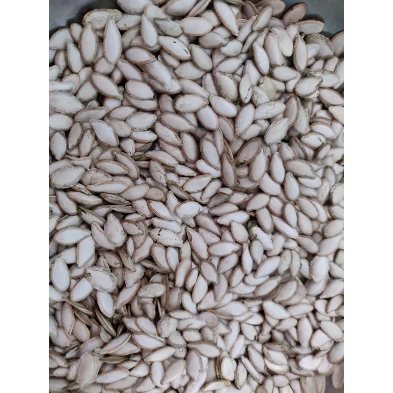 Unbranded 50 SEMILLAS DE PIPIAN CRIOLLO SALVADOREÑO