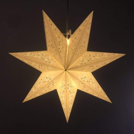 LIOOBO Paper Star Lanterns: Hollow Hanging Lampshade, Star Light Cover, Lantern Pendant for Christmas Birthday Wedding Home Party 17.7 Inch 1PC Picture2