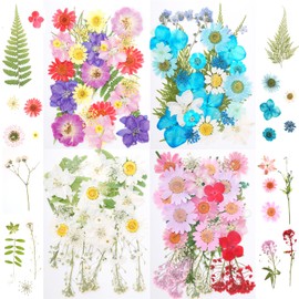DXGSHSA 136pcs Dried Pressed Flowers for Resin Crafts, Real Dry Floral, Assorted Natural Bulk for DIY Art Crafts Scrapbooking Epoxy Jewelry Molds Nails Décor Candle Soap Making