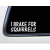 ThatLilCabin - I Break for Squirrels AS579 8" Sticker Decal