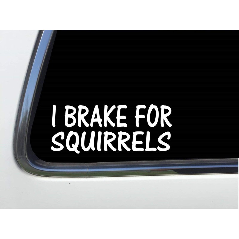 ThatLilCabin - I Break for Squirrels AS579 8" Sticker Decal