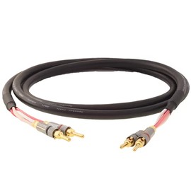 Blue Jeans Cable Canare 4S11 Speaker Cable, with Ultrasonically-Welded Conventional (Non-Bi-Wire) Terminations, (One Cable - for one Speaker); Assembled in The USA (6 Foot, Bananas to Bananas, Black)