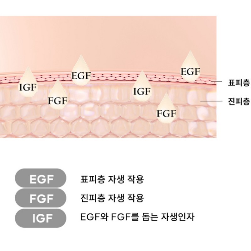 tonier Tonyer EGF & FGF active ampoule 10ppm 30ml 2pcs.