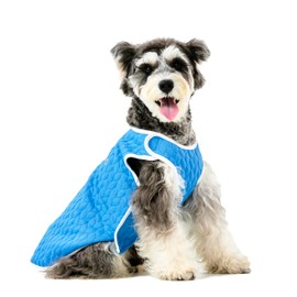 KnewChord Dog Shirts Soft Warm Cat Shirts Pet T-Shirt Puppy Dog Apparel Tee Tanks Easy On and Off (Blue, Large)